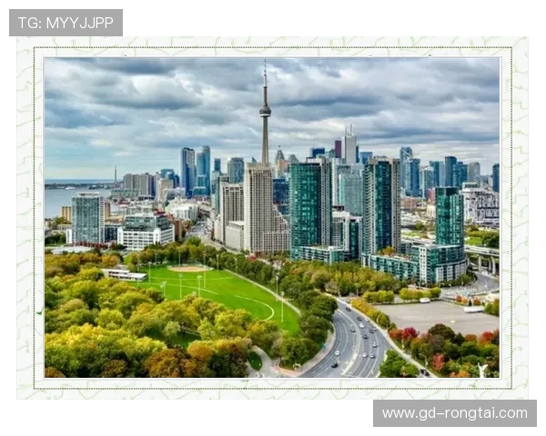 加拿大企业家如何在全球市场中脱颖而出并实现商业成功