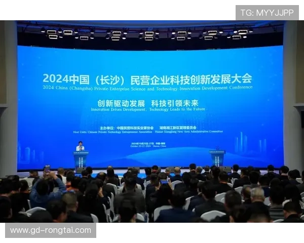 聚焦中国十大民营企业家引领时代创新发展路径与实践探索全面分析